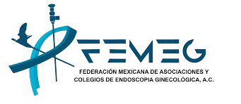 FEMEG